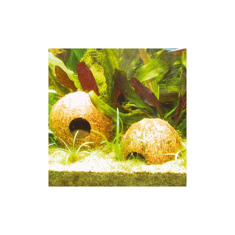 JBL 61514 Kokosnootschaal als grot voor in aquaria en terraria, Cocos Cava 1/1 M