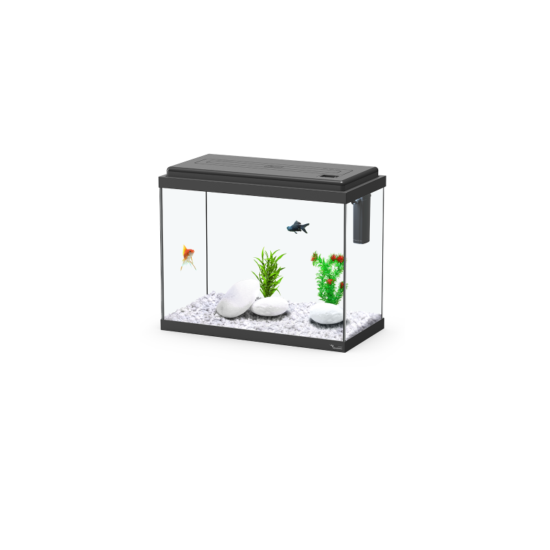 Filtre aquarium : Pompes et filtres pour aquarium - botanic®