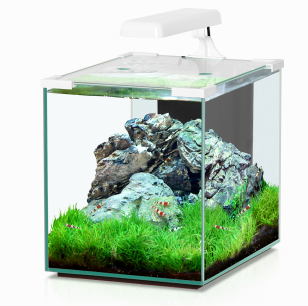 Aquariums Eau douce jusqu'à 50 litres