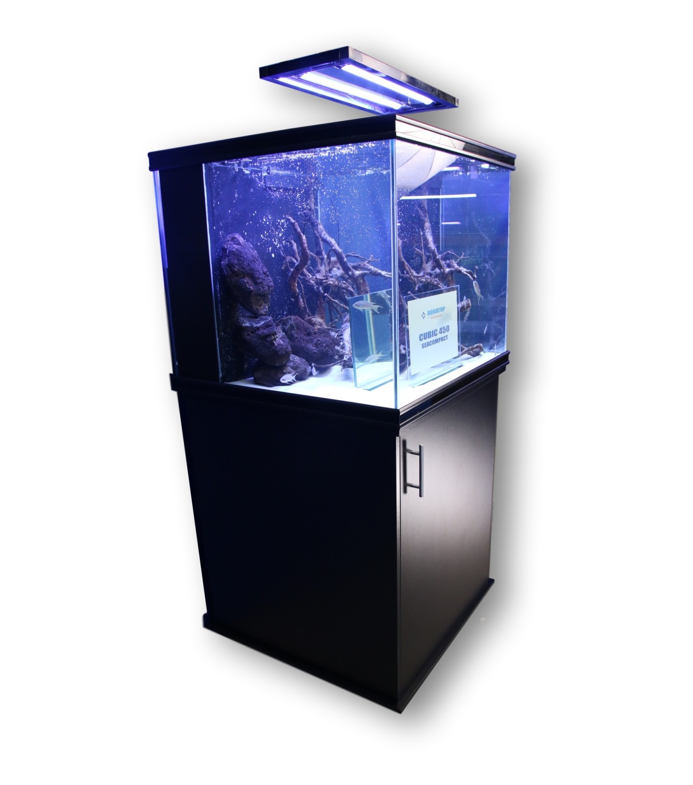 Aquariums Eau douce jusqu'à 1'000 litres